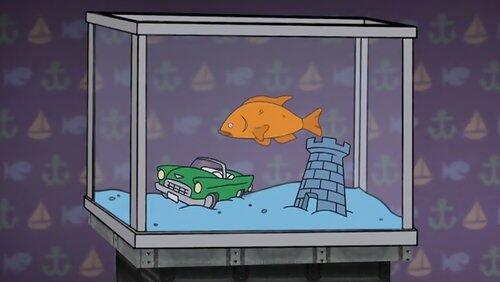 Goldfish Goldfish
