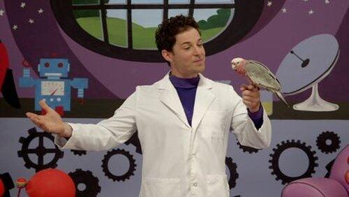 Lachy's Bird Poem Lachy's Bird Poem