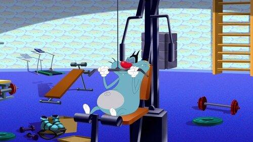 A Fit Body For Oggy A Fit Body For Oggy