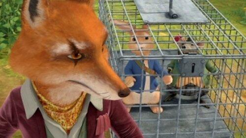 The Tale of the Bird Trap The Tale of the Bird Trap
