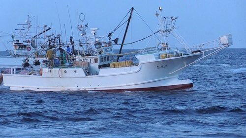 No Going Back: New Ideas from a Tsunami-hit Fishing Town