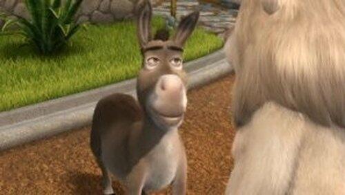 Donkey Donkey