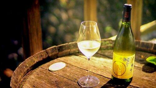Passion on the Vine: Yamanashi and Its Winemakers Passion on the Vine: Yamanashi and Its Winemakers