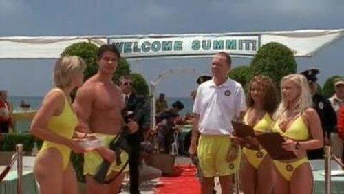 Day of the Jackass