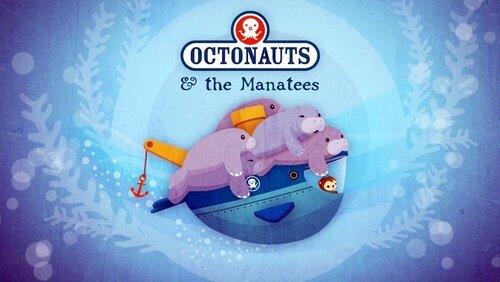 The Manatees The Manatees