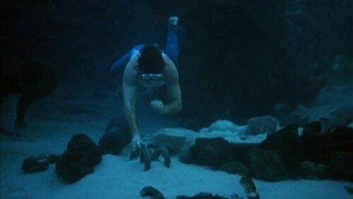 Seance / The Treasure Seance / The Treasure