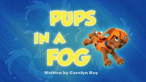 Pups in a Fog Pups in a Fog