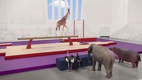 Gymnastique artistique