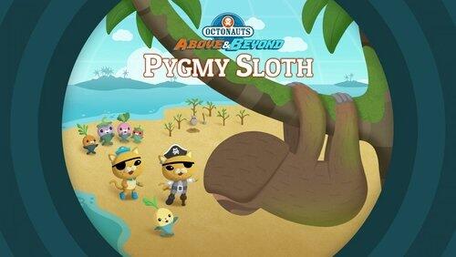 Pygmy Sloths Pygmy Sloths