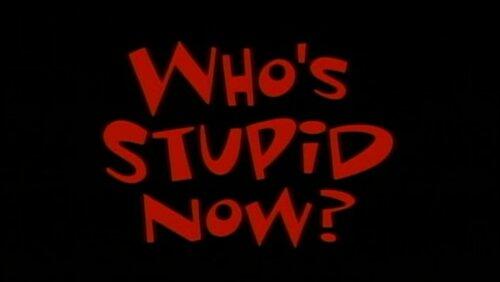 Who's Stupid Now Who's Stupid Now