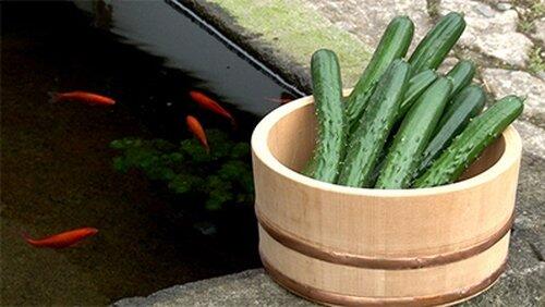 Cucumber Cucumber