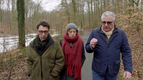 Waarom slapen we zo slecht?