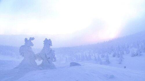 Ice Monsters: The Mountains of Zao Ice Monsters: The Mountains of Zao