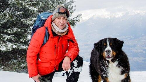 Berge - Verirrt im Schnee Berge - Verirrt im Schnee