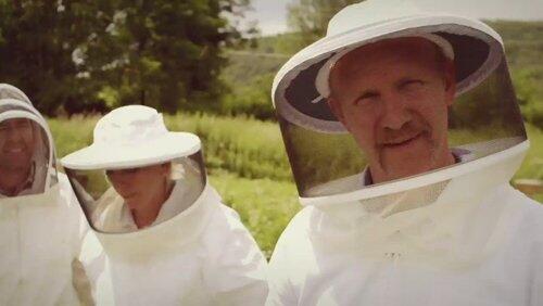 Honey Bee-Ware Honey Bee-Ware