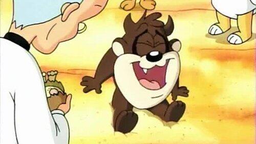 Taz You Like It