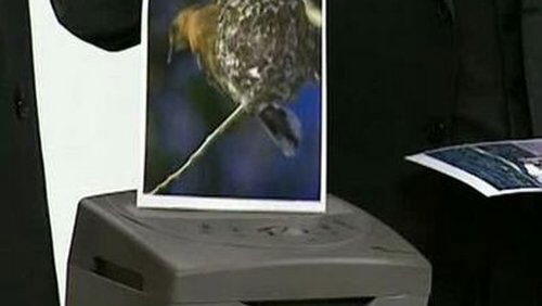Endangered Species Endangered Species