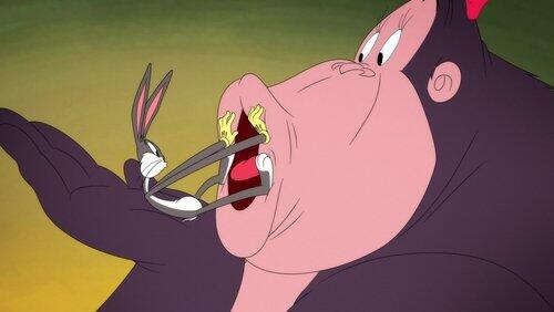 Bunny and the Beast Bunny and the Beast