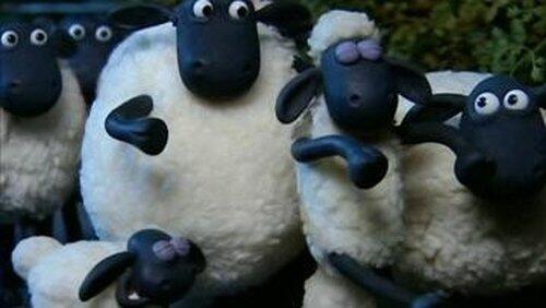 Sheepwalking Sheepwalking