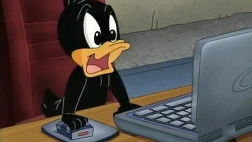 Duck Reflucks Duck Reflucks