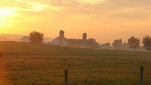 The Farm That Time Forgot The Farm That Time Forgot