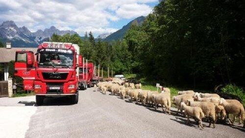 Ortskontrollfahrt Ortskontrollfahrt