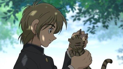 Asami Mizuki Asami Mizuki