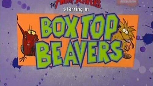 Boxtop Beavers Boxtop Beavers