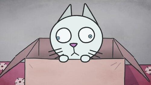Un nouveau chat Un nouveau chat