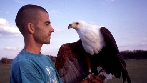 Extraordinary Birds Extraordinary Birds