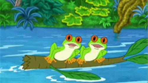 Rescue the Red-Eyed Tree Frogs! Rescue the Red-Eyed Tree Frogs!
