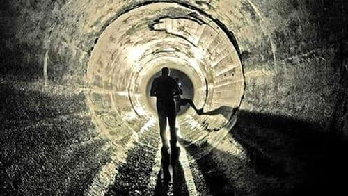 Gators in the Sewers Gators in the Sewers