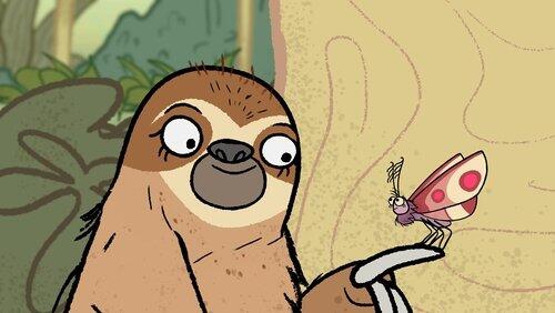 The Moth and the Sloth The Moth and the Sloth