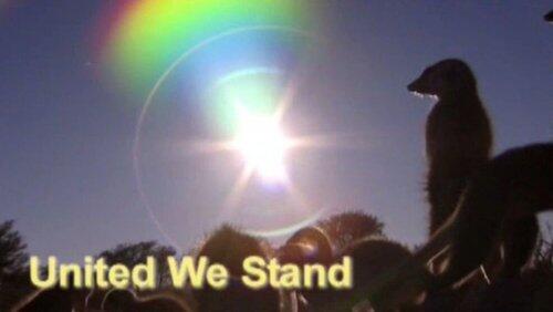 United We Stand United We Stand