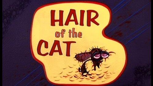 Hair of the Cat Hair of the Cat