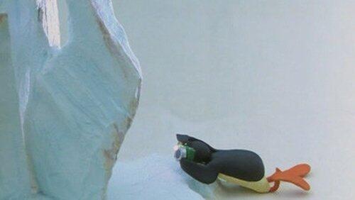 Pingu and the Camera Pingu and the Camera