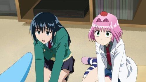 It's Time for Training! It's Time for Training!