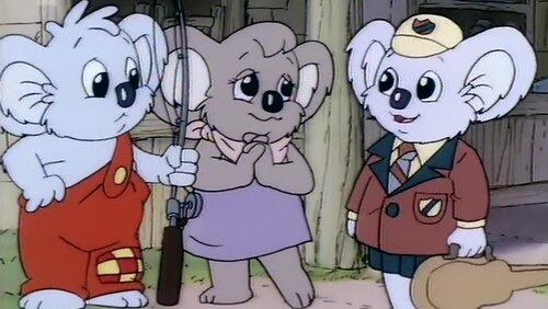 Who Is Blinky Bill ? Who Is Blinky Bill ?