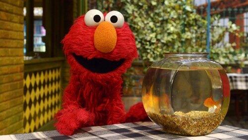 Sesame Oceans