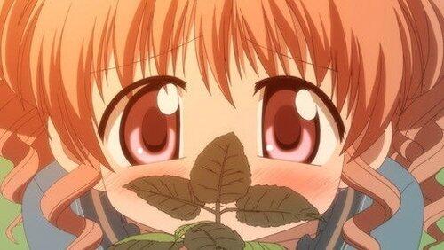 July 30th: Saeta / November 11th: Hiroemon July 30th: Saeta / November 11th: Hiroemon