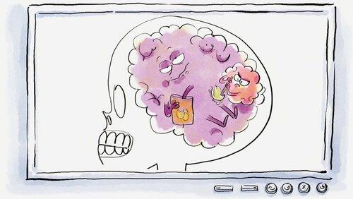 Le cerveau de Lucy Le cerveau de Lucy