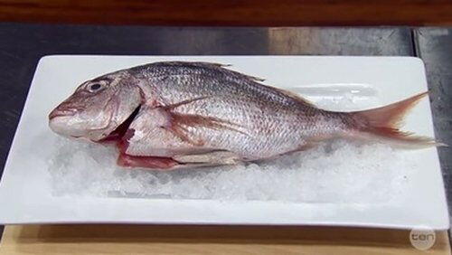 Elimination Challenge: Three Dishes from One Snapper Elimination Challenge: Three Dishes from One Snapper