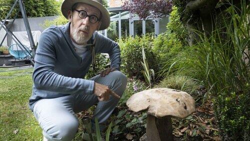 Champignons, mode d'emploi ! Champignons, mode d'emploi !