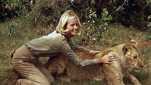 Elsa's Legacy: The Born Free Story Elsa's Legacy: The Born Free Story