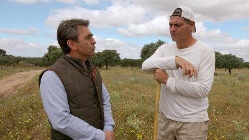 Bulls: Episode 2 Bulls: Episode 2