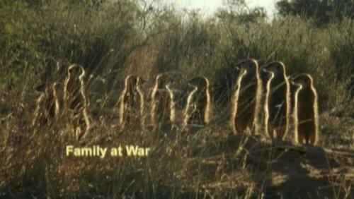 A Family at War A Family at War
