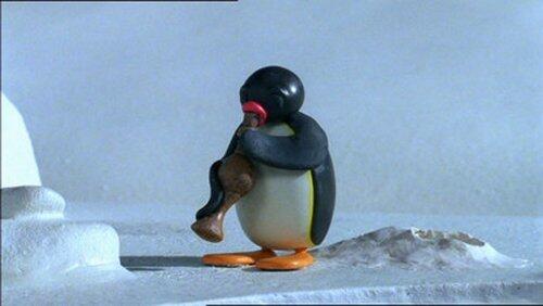 Pingu and the Fish Flute Pingu and the Fish Flute