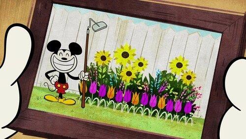 My Little Garden My Little Garden