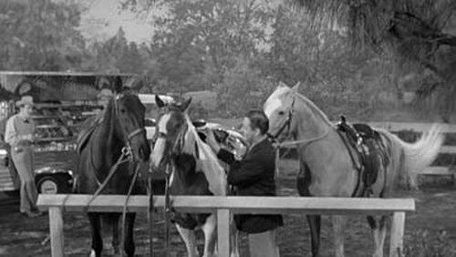 Mister Ed's Blues Mister Ed's Blues