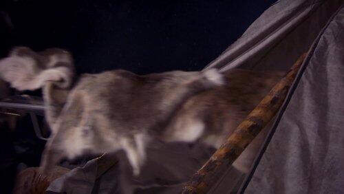 Episode 5 Episode 5